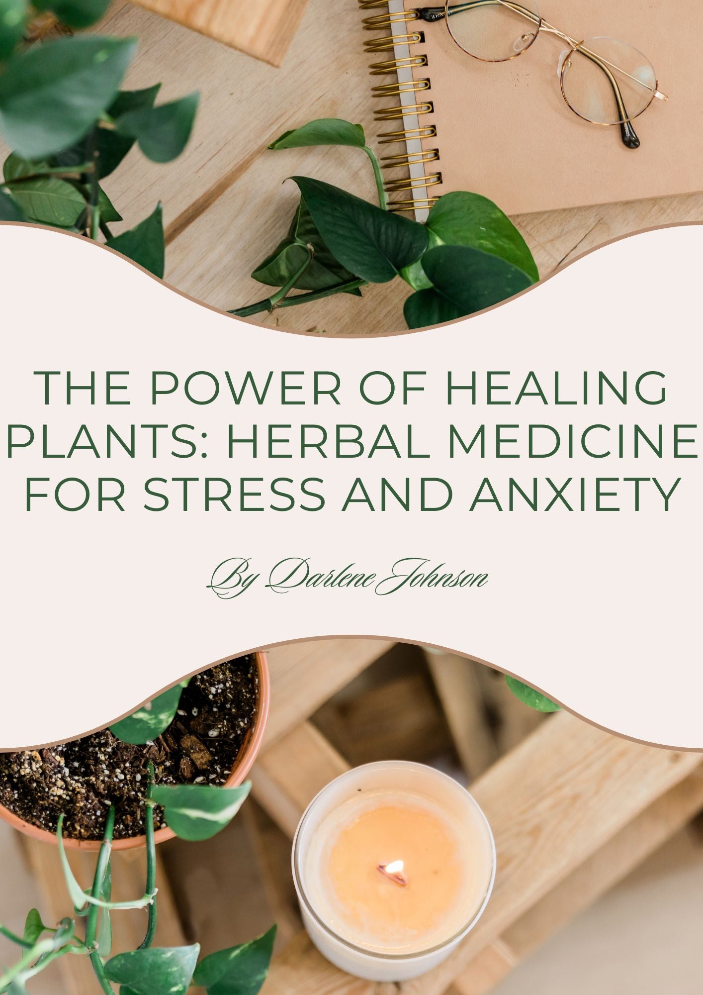 The Power of Healing Plants: Herbal Medicine for Stress and Anxiety